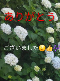 (12KB)