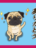 (9KB)
